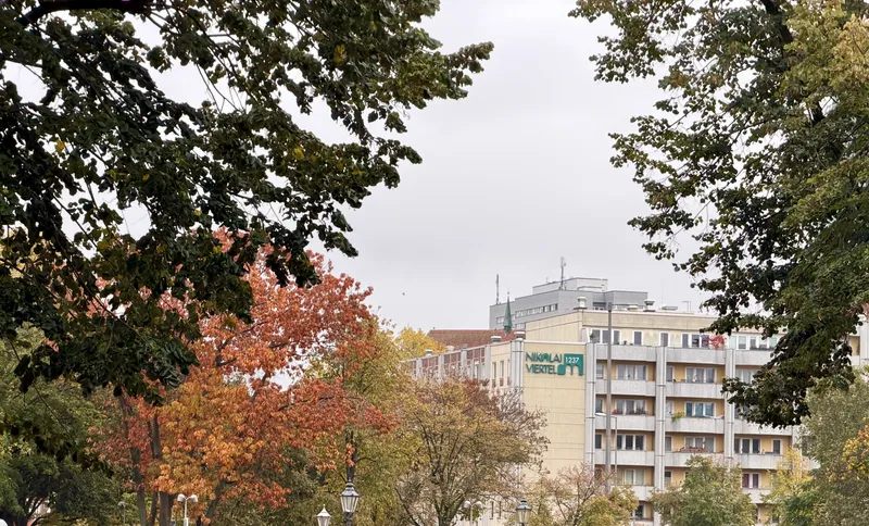 Balkonwohnung mit 3 Zimmern im Nikolaiviertel - WBS 160-220 — photo 1